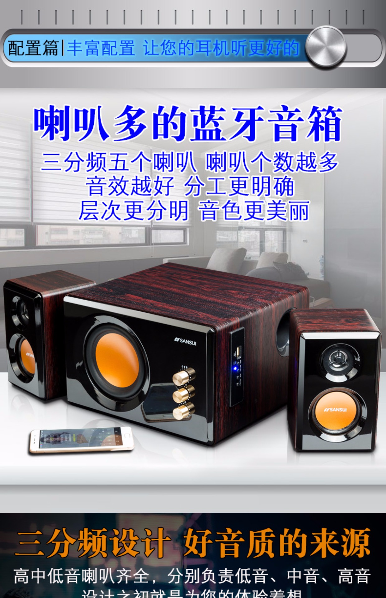 山水音响主机插孔是哪个