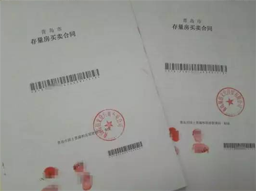 暂停同签备案是什么生肖