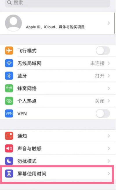 苹果手机不能访问域名