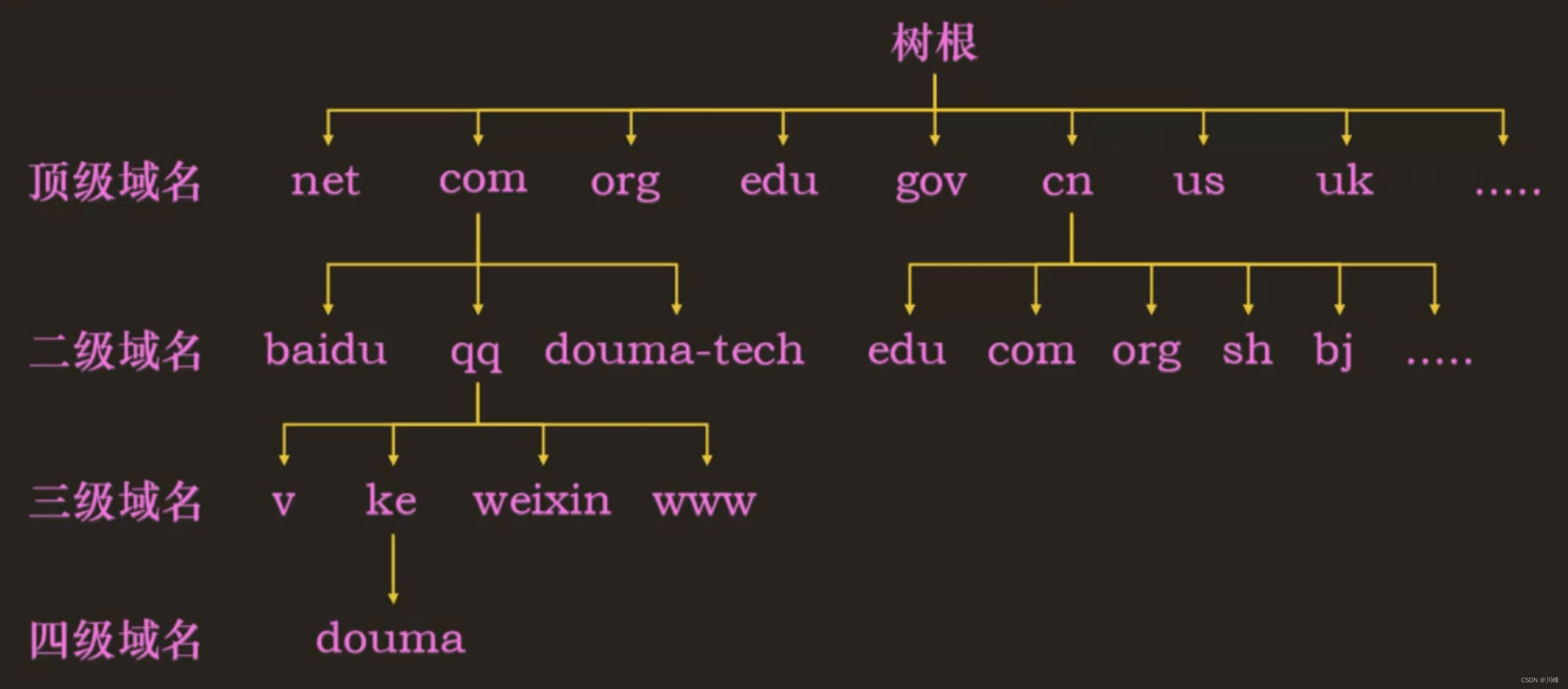 域名代表计算机所在的物理地点