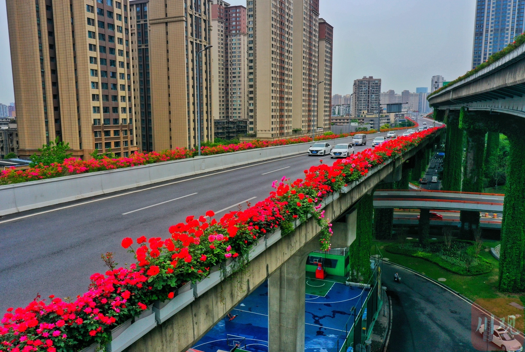 成都市备案需要哪些资料