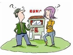 婚前房产备案一套