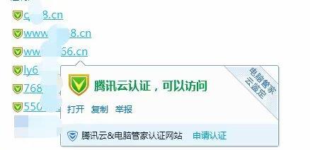怎么认证大v绿标域名