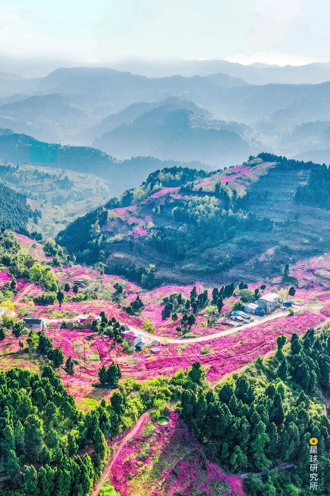 龙泉驿区环保网上备案
