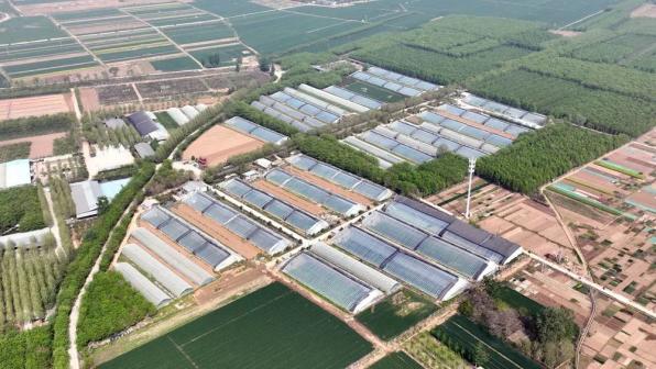 河北省灵寿县新农合怎么备案