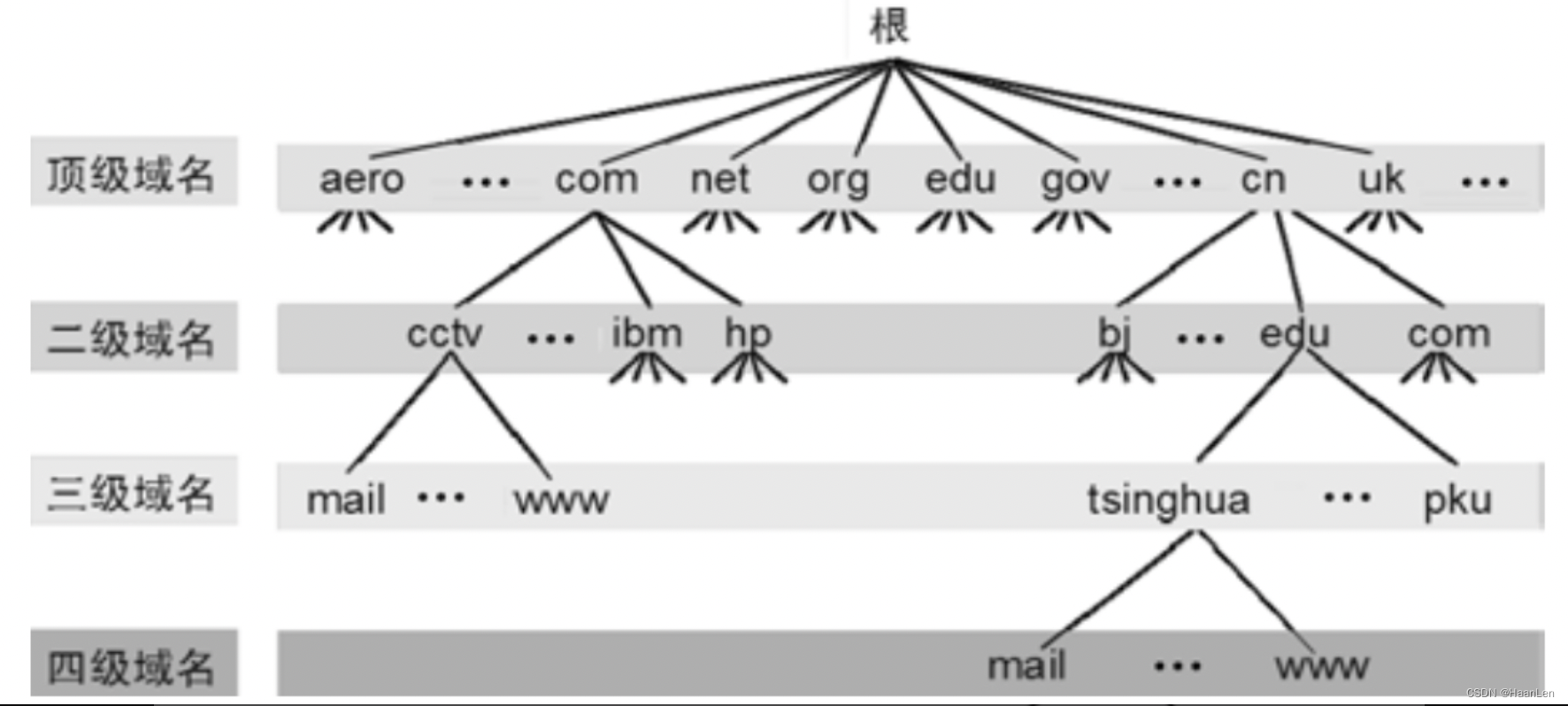 data域名文档介绍内容