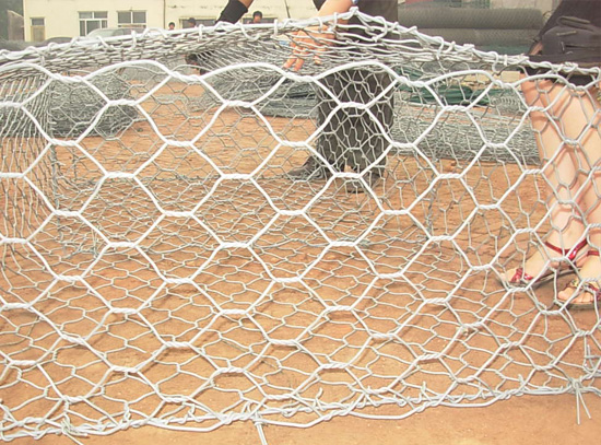 网签合同可以查询有没有备案吗