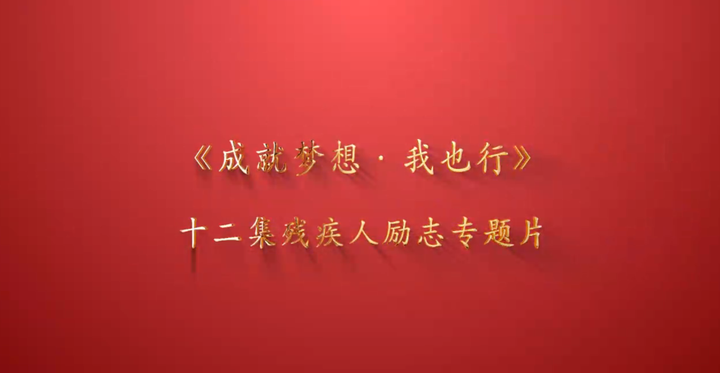 成都市残疾人汽车备案资料