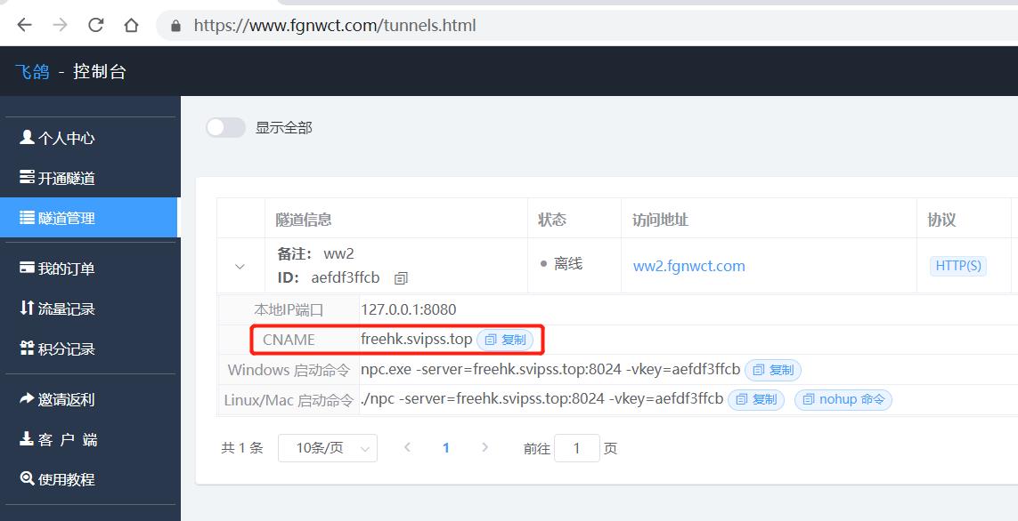 局域网内发布域名