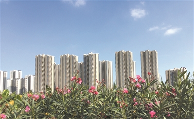 东莞房地产备案后可调整价格么