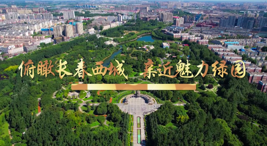 长春市绿园区劳动用工如何备案