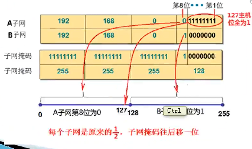 子网掩码可以确定主机数吗