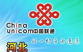 河北联通信息魅力域名是什么