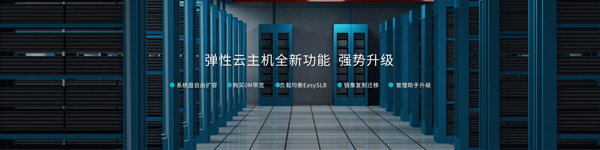 专业虚拟主机域名注册