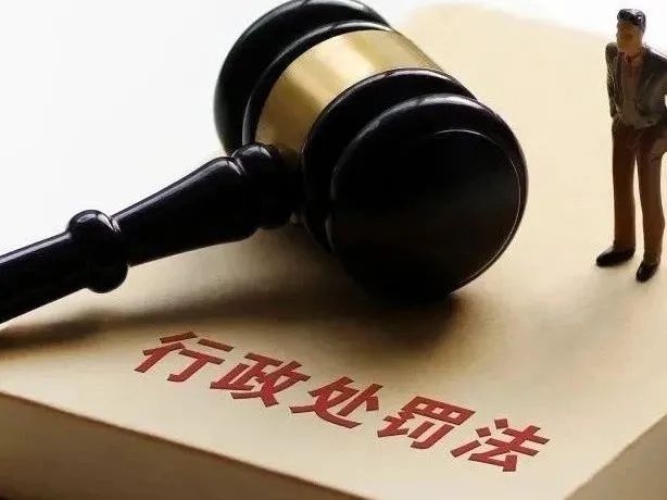 成都市重罚行政处罚备案制度