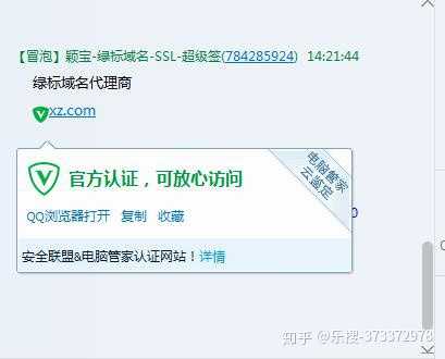 怎么认证大v绿标域名